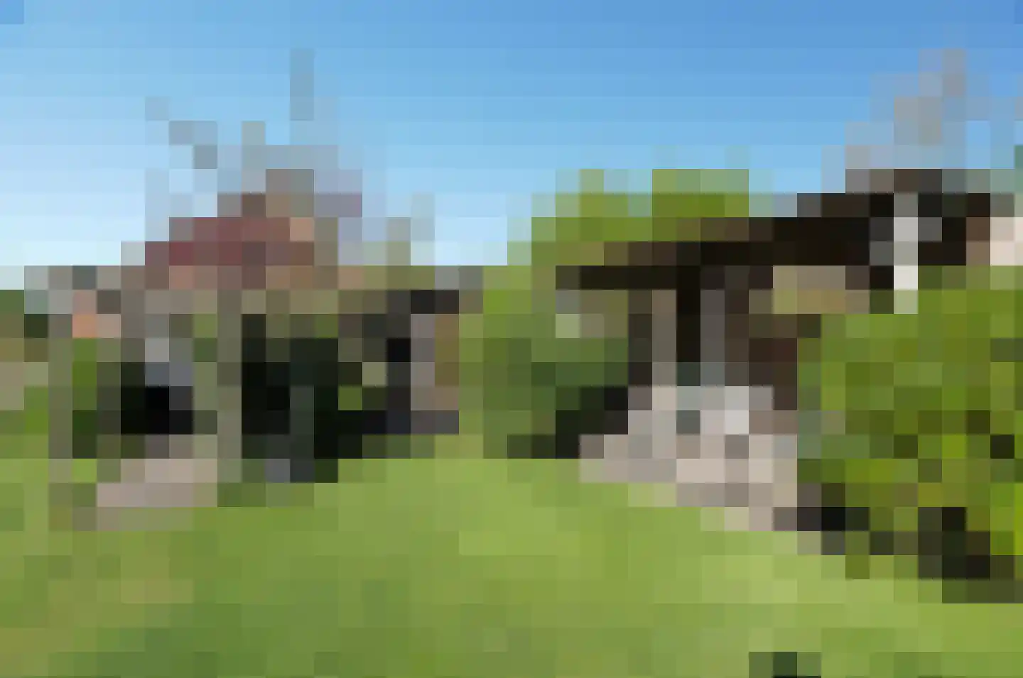 Gedempte Vaart 39 Surhuisterveen thumbnail 59
