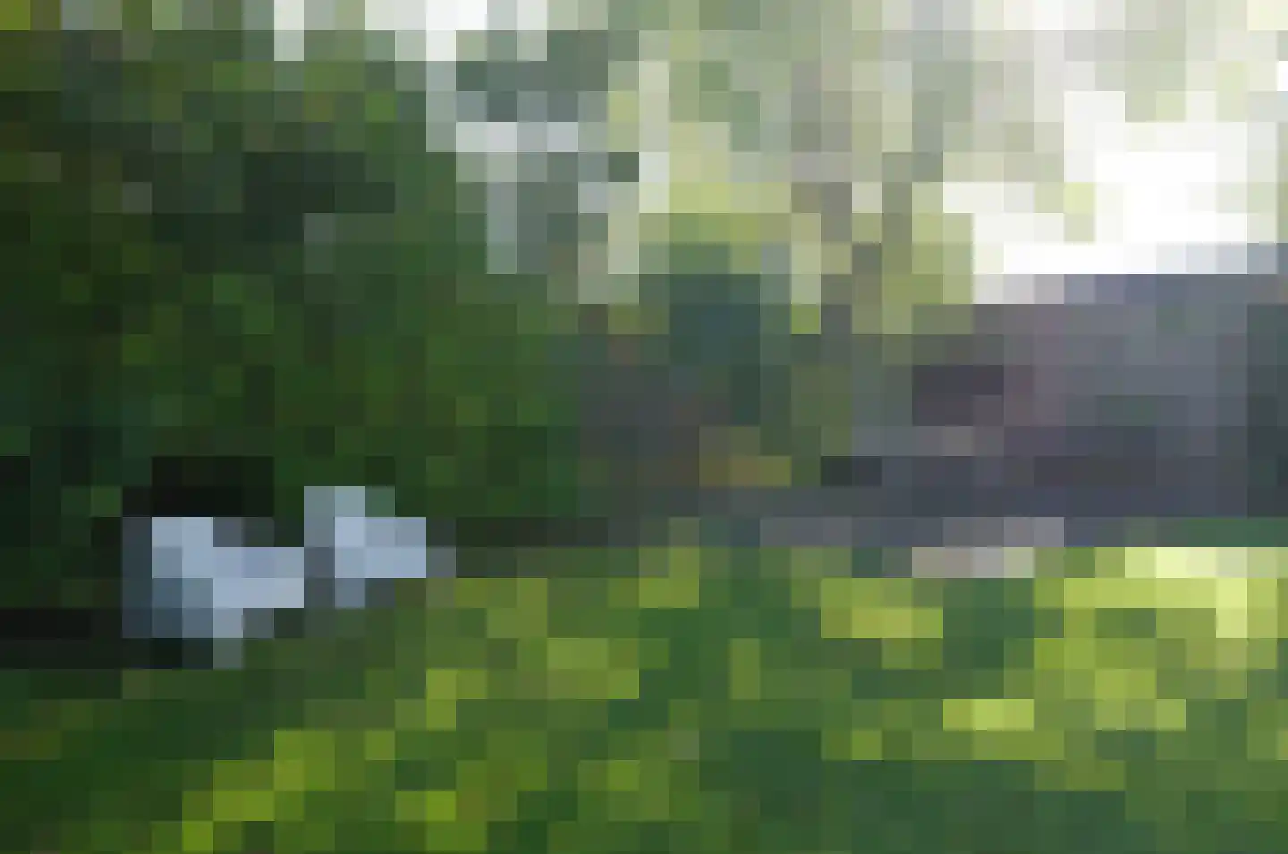 Gedempte Vaart 39 Surhuisterveen thumbnail 60