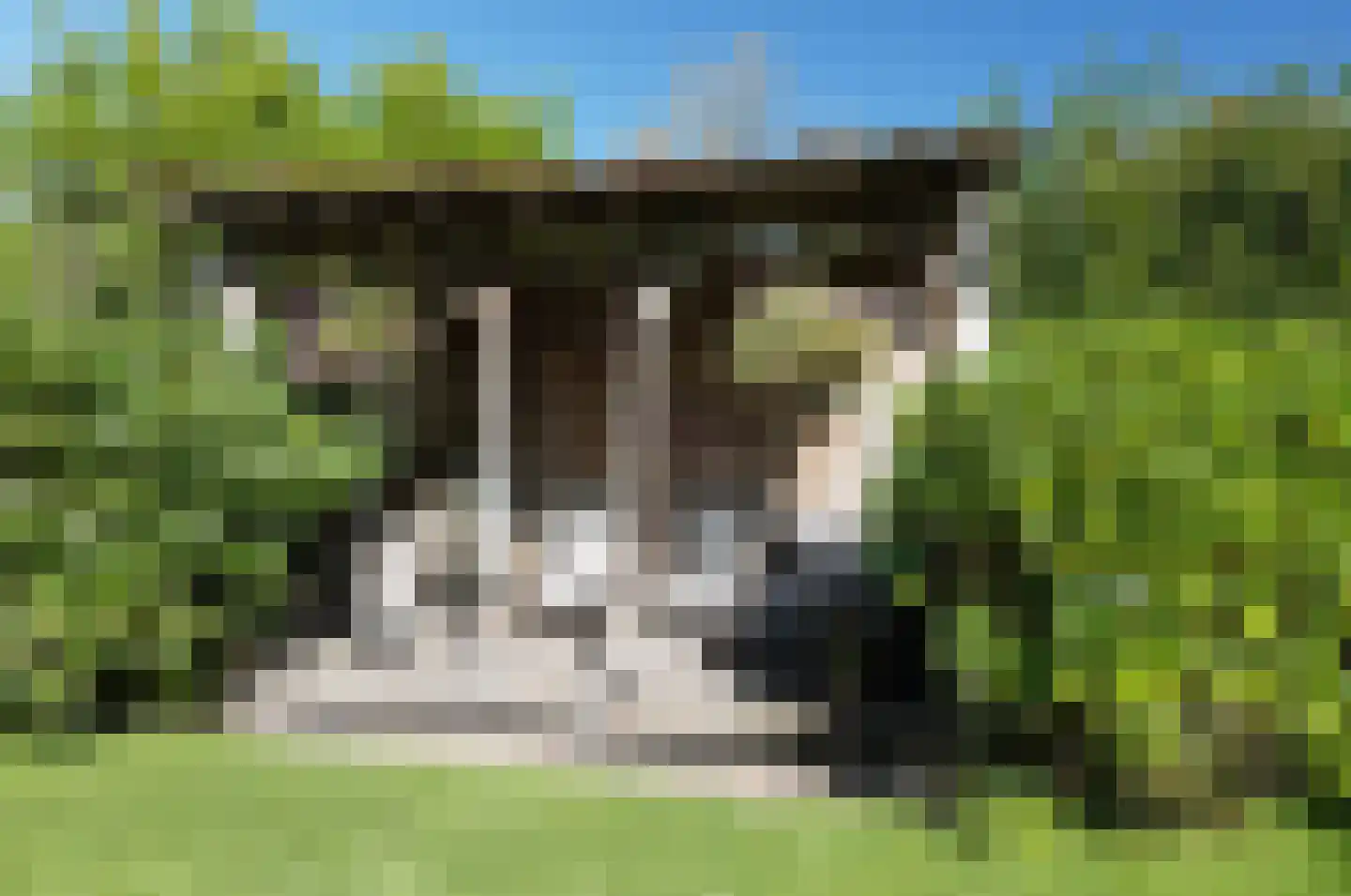 Gedempte Vaart 39 Surhuisterveen thumbnail 61