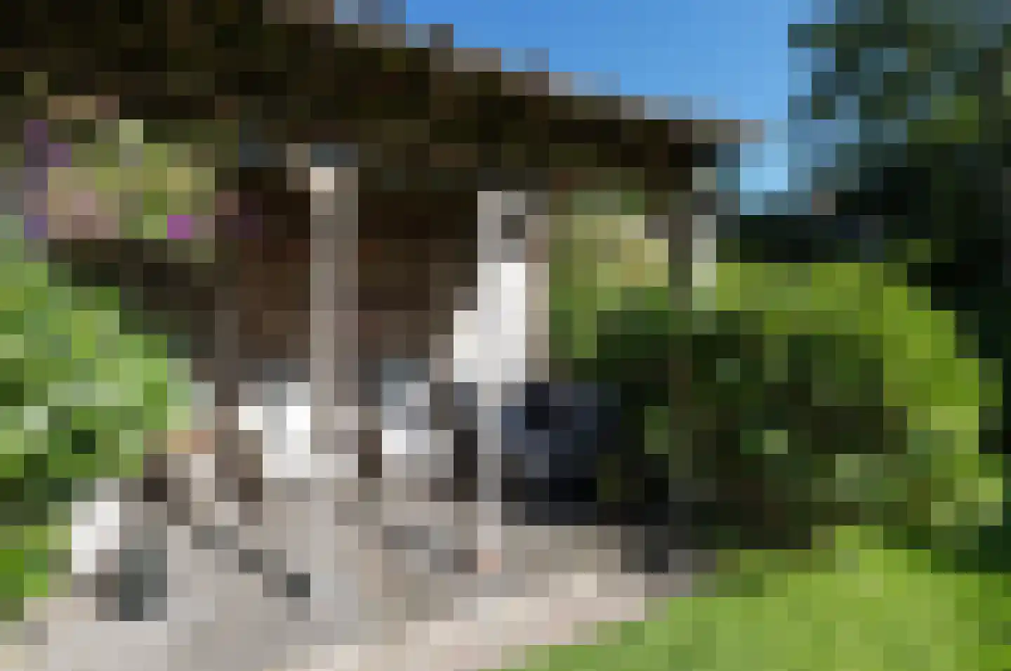 Gedempte Vaart 39 Surhuisterveen thumbnail 62