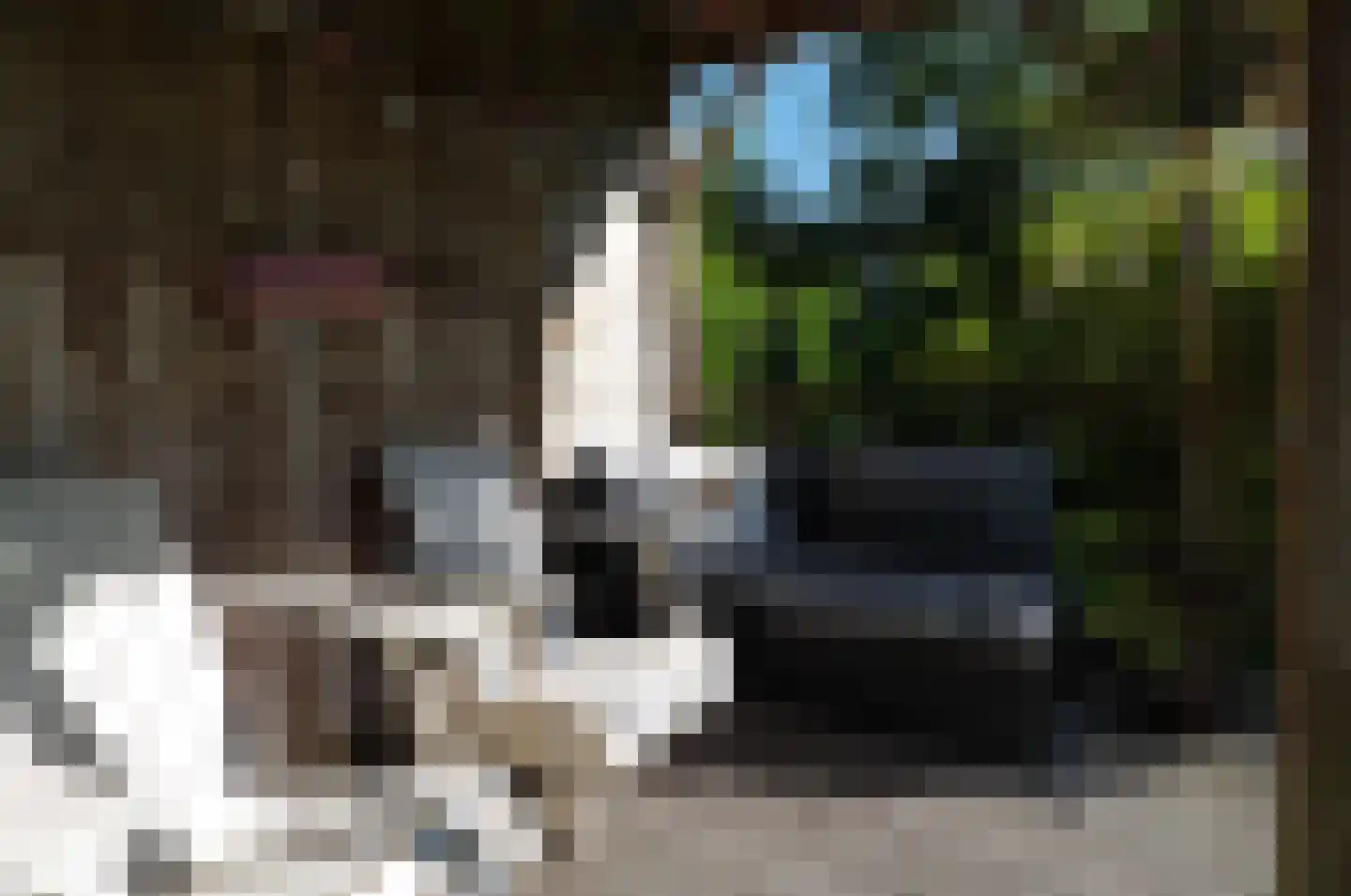 Gedempte Vaart 39 Surhuisterveen thumbnail 63