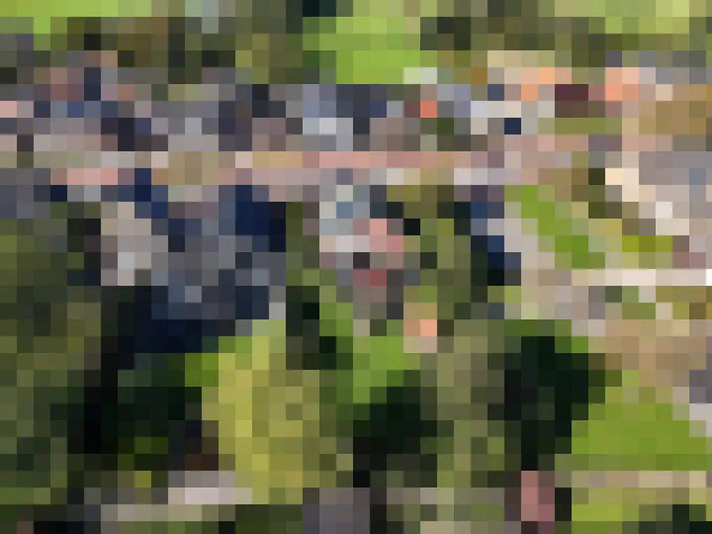 Gedempte Vaart 39 Surhuisterveen thumbnail 71