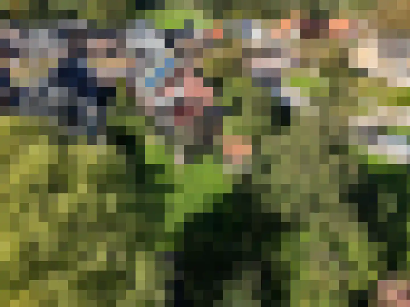 Gedempte Vaart 39 Surhuisterveen thumbnail 74