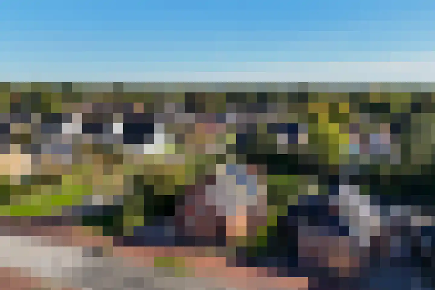 Gedempte Vaart 39 Surhuisterveen thumbnail 76