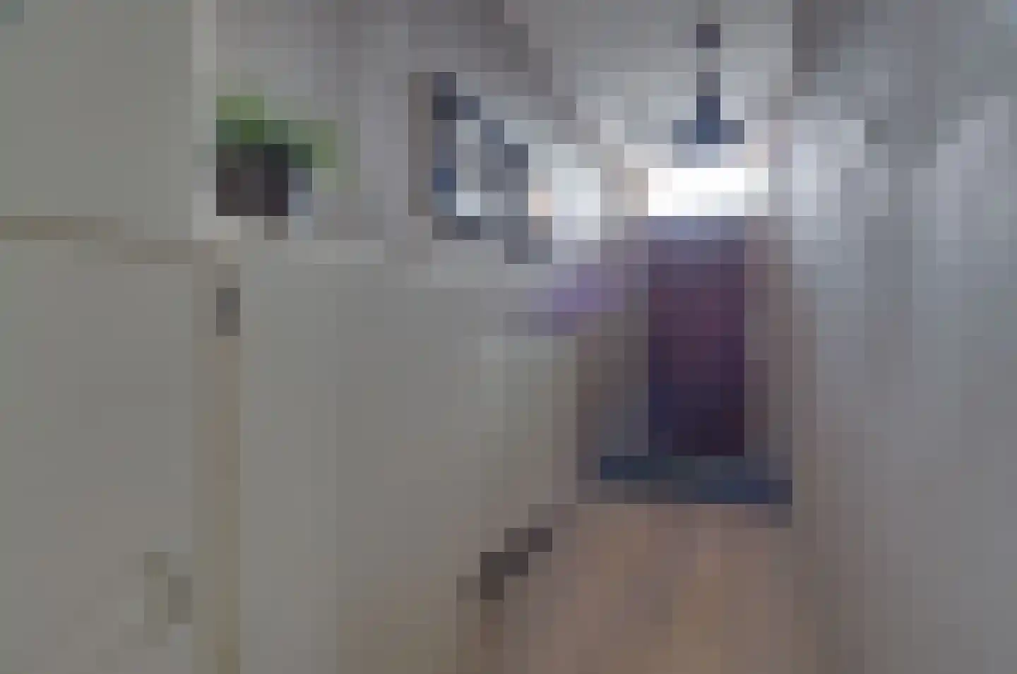 Gedempte Vaart 39 Surhuisterveen thumbnail 8