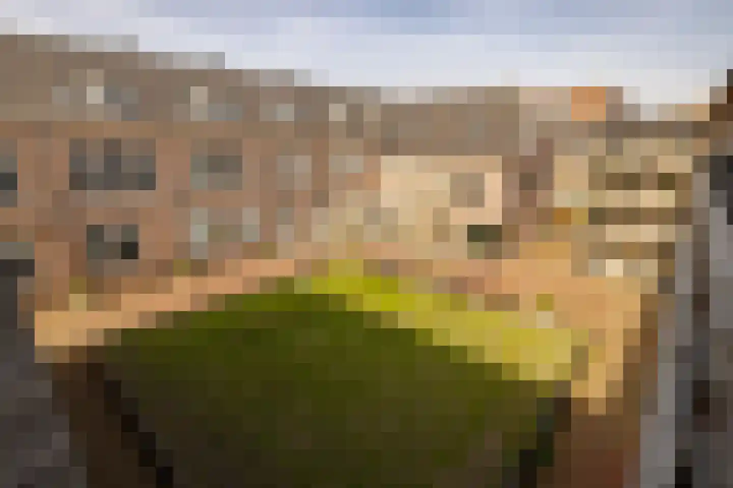 Gedempte Voldersgracht 4 0033 Haarlem thumbnail 22
