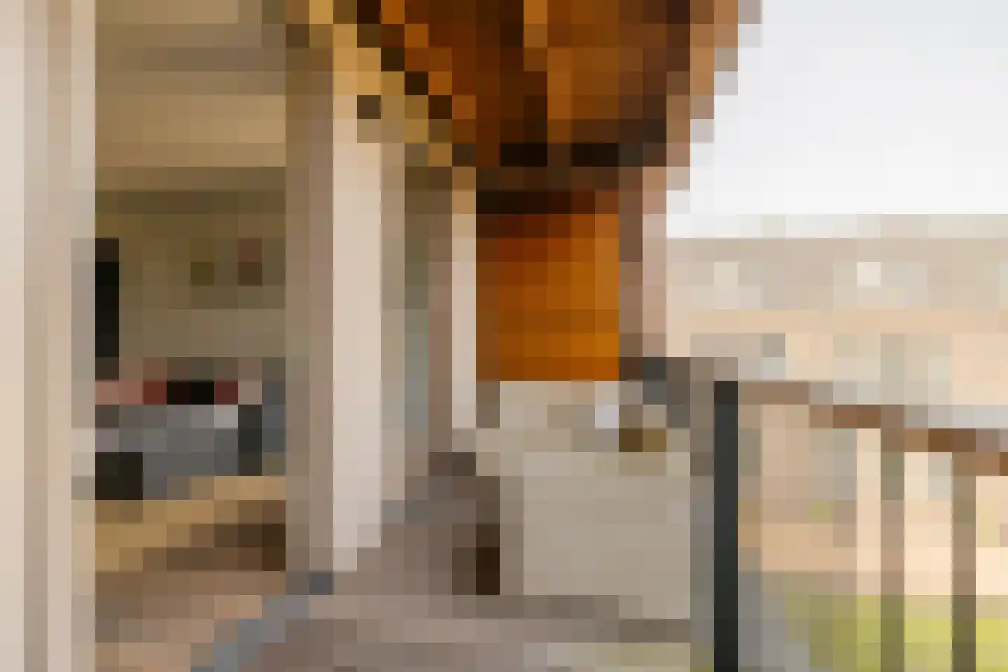 Gedempte Voldersgracht 4 0033 Haarlem thumbnail 4