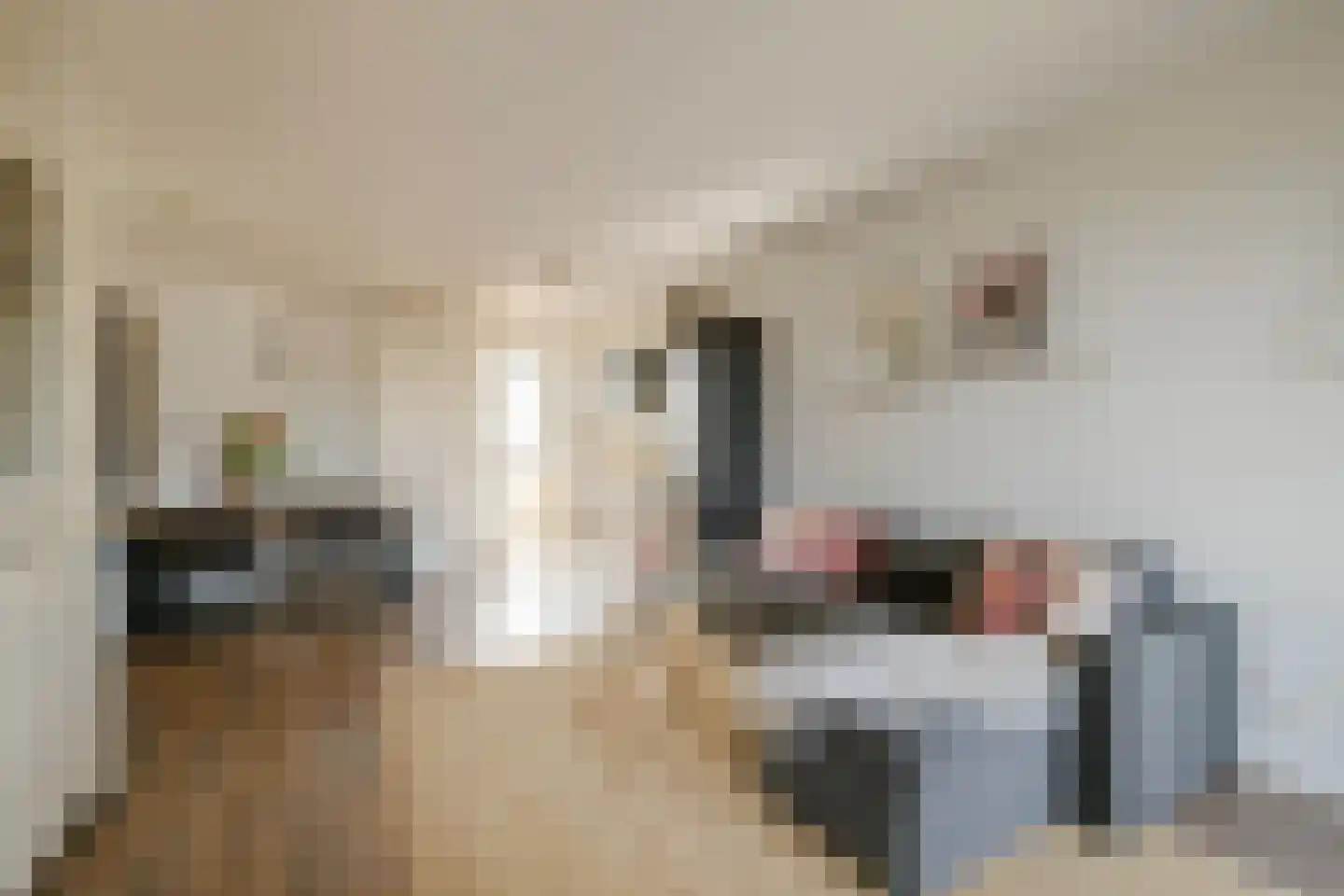 Gedempte Voldersgracht 4 0033 Haarlem thumbnail 6
