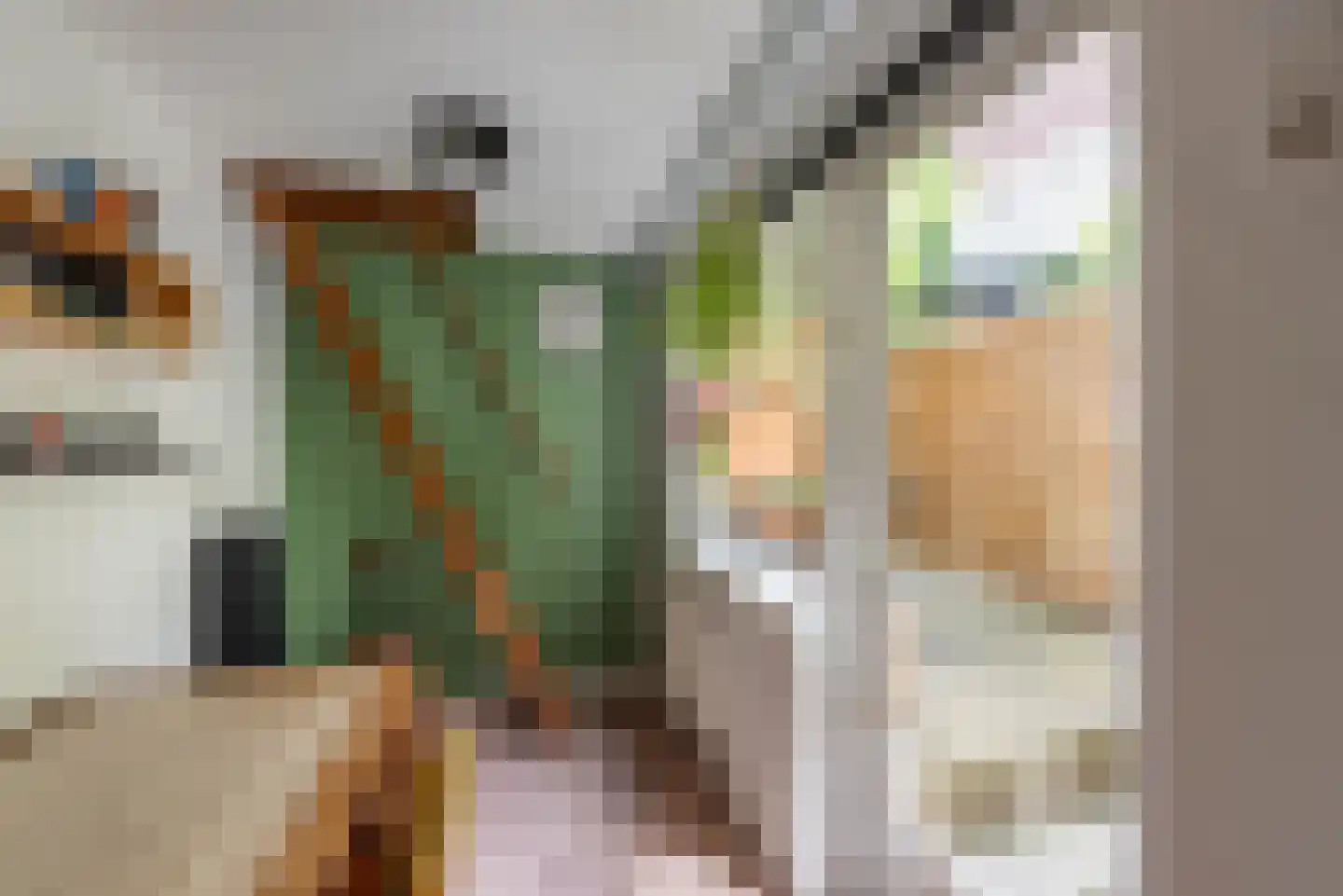 Gedempte Voldersgracht 43 A ZW Haarlem thumbnail 19