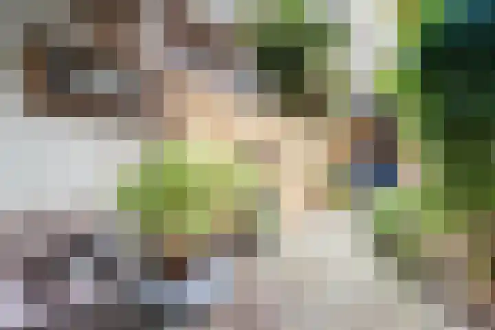 Gedempte Voldersgracht 45 ZW Haarlem thumbnail 5