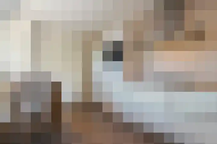 Gedempte Wijde Wijk 4 Kerkenveld thumbnail 13