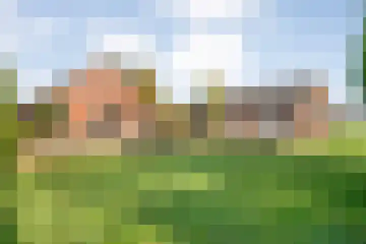 Gedempte Wijde Wijk 4 Kerkenveld foto 3