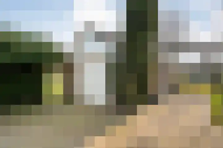 Gedempte Wijde Wijk 4 Kerkenveld thumbnail 36