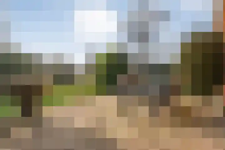 Gedempte Wijde Wijk 4 Kerkenveld thumbnail 37
