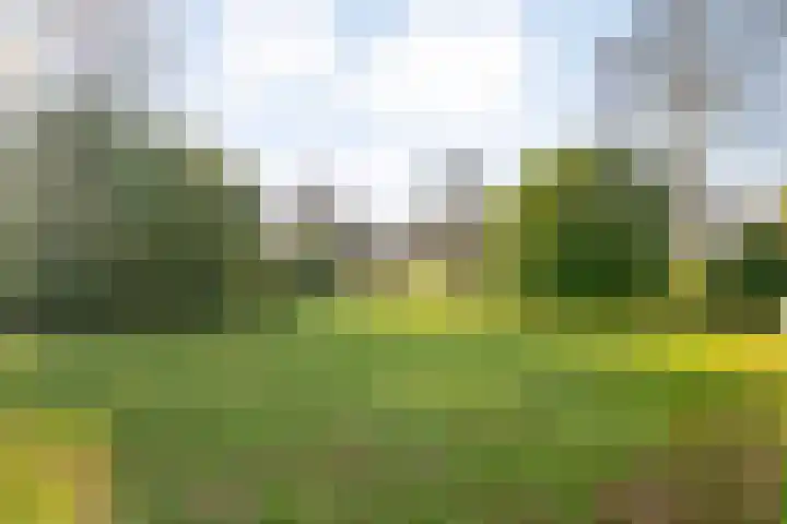 Gedempte Wijde Wijk 4 Kerkenveld thumbnail 38