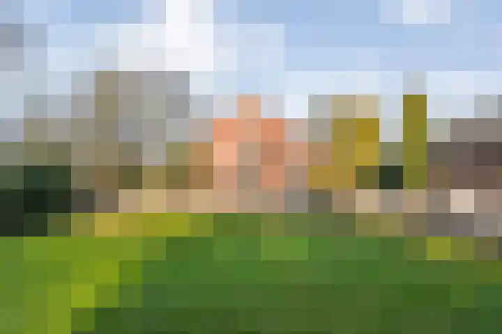Gedempte Wijde Wijk 4 Kerkenveld thumbnail 39