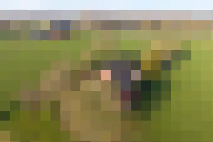 Gedempte Wijde Wijk 4 Kerkenveld thumbnail 4