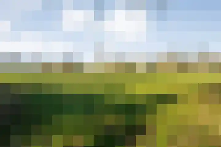 Gedempte Wijde Wijk 4 Kerkenveld thumbnail 40