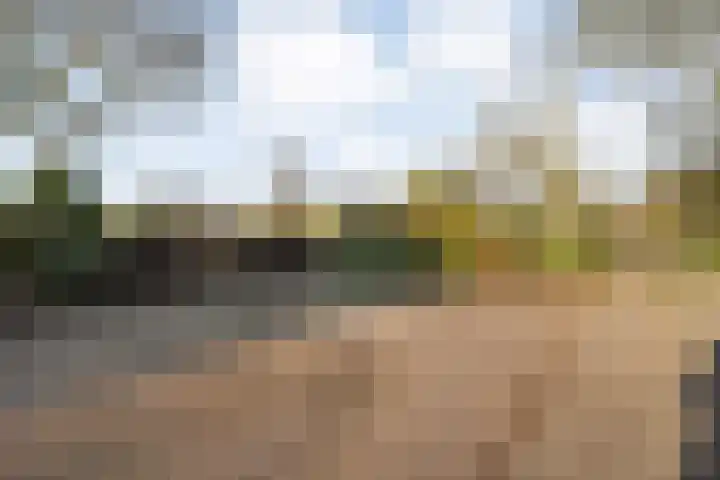 Gedempte Wijde Wijk 4 Kerkenveld thumbnail 41