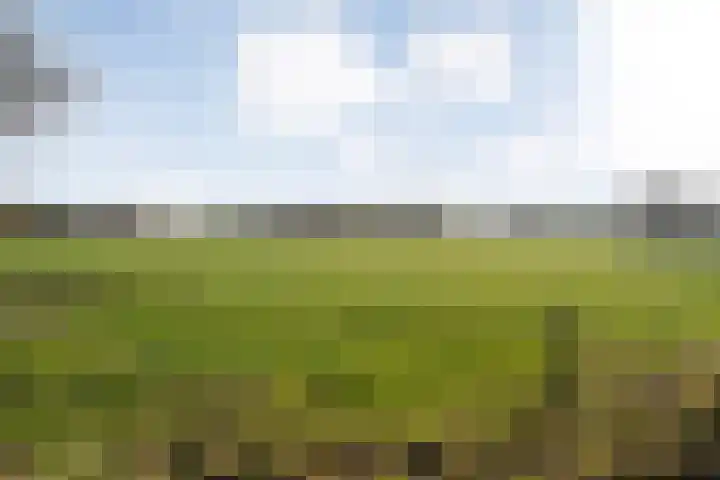 Gedempte Wijde Wijk 4 Kerkenveld thumbnail 43