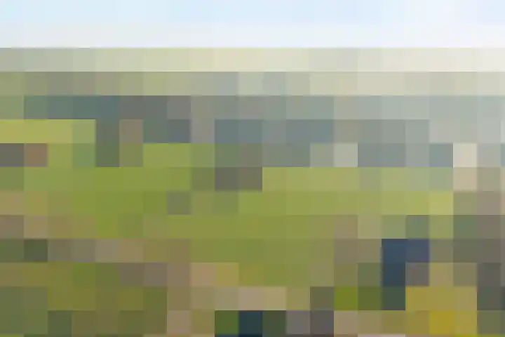 Gedempte Wijde Wijk 4 Kerkenveld thumbnail 44
