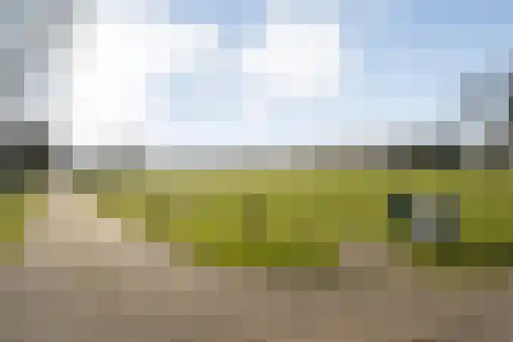 Gedempte Wijde Wijk 4 Kerkenveld thumbnail 5