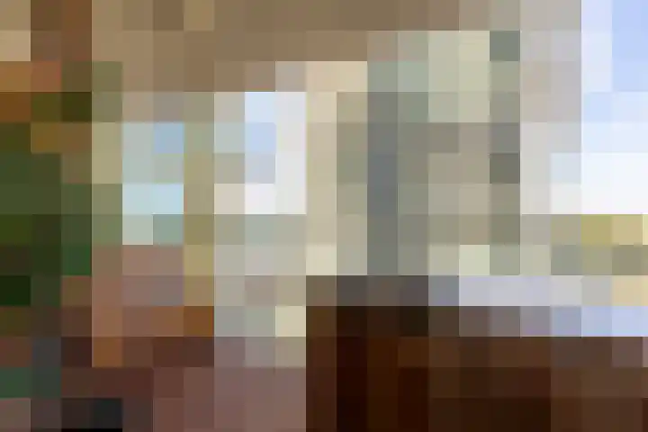 Gedempte Zalmhaven 158 Rotterdam thumbnail 18