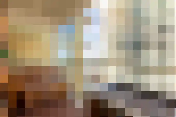 Gedempte Zalmhaven 158 Rotterdam thumbnail 19