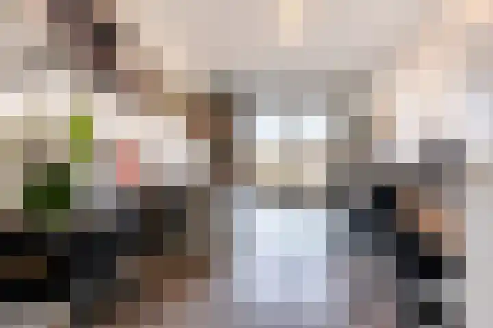 Gedempte Zalmhaven 158 Rotterdam thumbnail 26