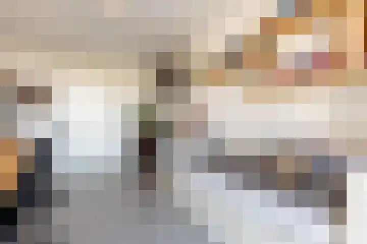 Gedempte Zalmhaven 158 Rotterdam thumbnail 27