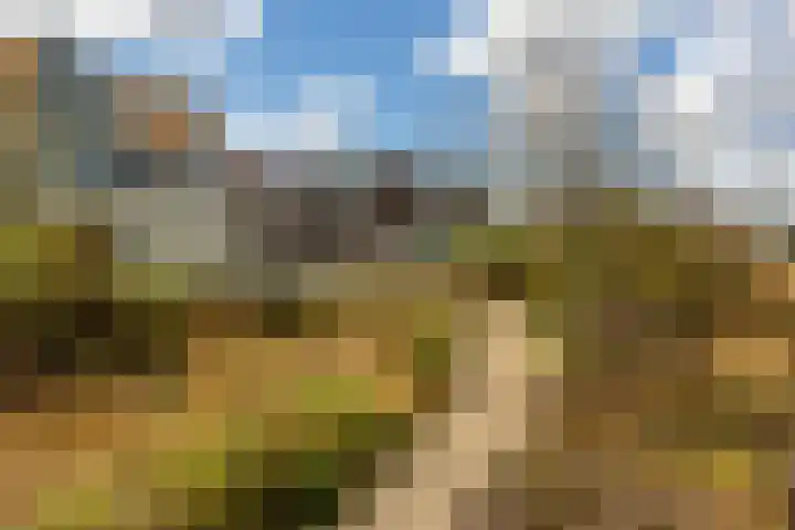 Gedempte Zalmhaven 158 Rotterdam thumbnail 32