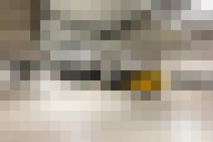 Gedempte Zalmhaven 158 Rotterdam thumbnail 33