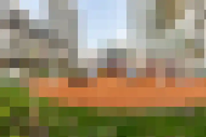 Gedempte Zalmhaven 158 Rotterdam thumbnail 35