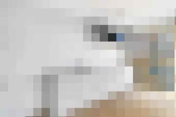 Gedempte Zalmhaven 182 Rotterdam thumbnail 19