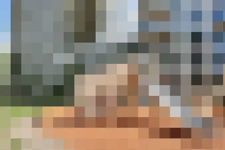 Gedempte Zalmhaven 182 Rotterdam thumbnail 38