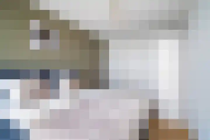 Gedempte Zalmhaven 196 Rotterdam thumbnail 13