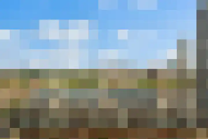 Gedempte Zalmhaven 196 Rotterdam thumbnail 29