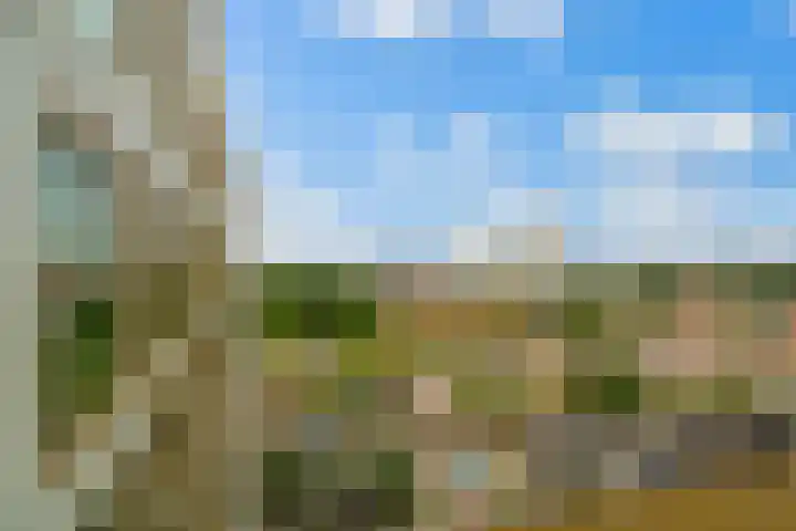 Gedempte Zalmhaven 196 Rotterdam thumbnail 30