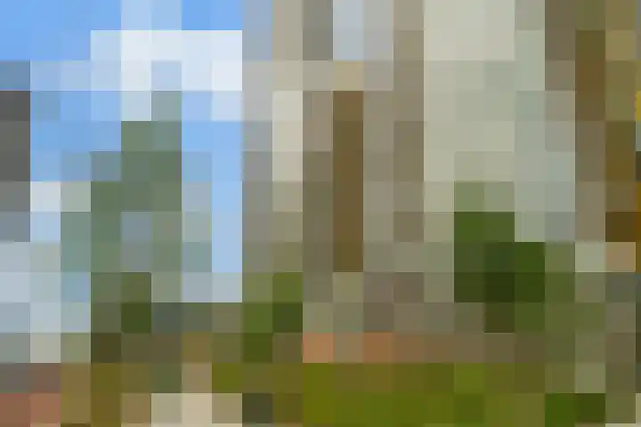 Gedempte Zalmhaven 196 Rotterdam thumbnail 32