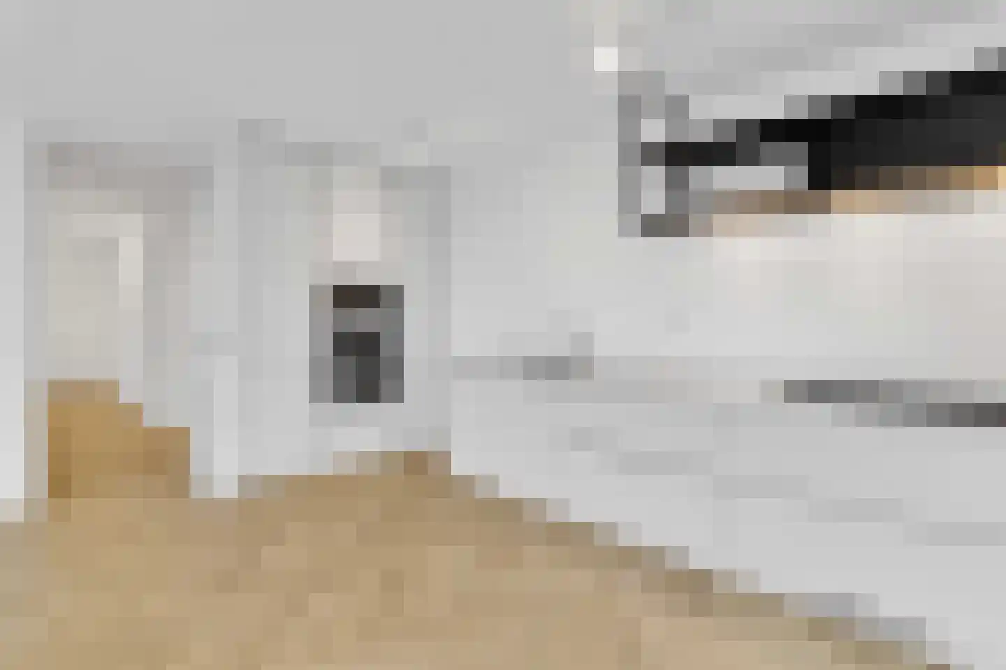 Gedempte Zalmhaven 216 Rotterdam thumbnail 8