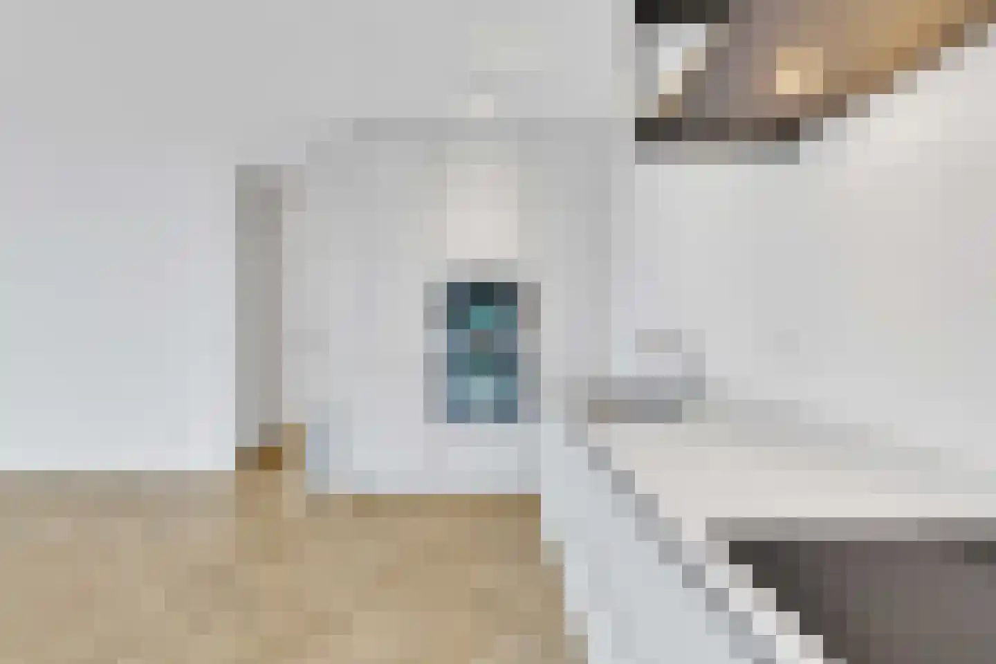 Gedempte Zalmhaven 216 Rotterdam thumbnail 9