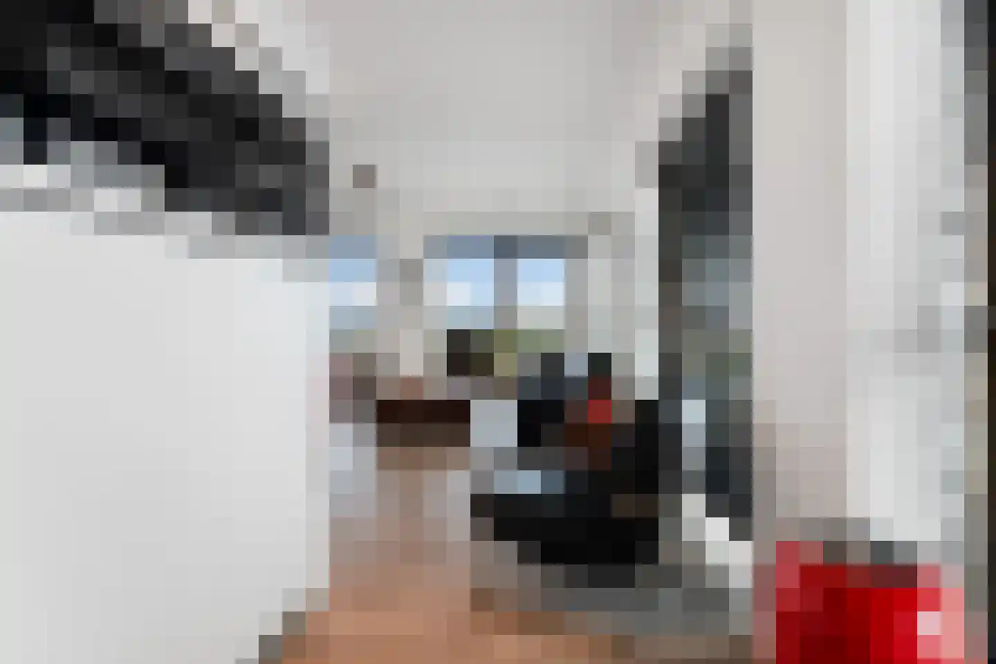 Gedempte Zalmhaven 394 Rotterdam thumbnail 22
