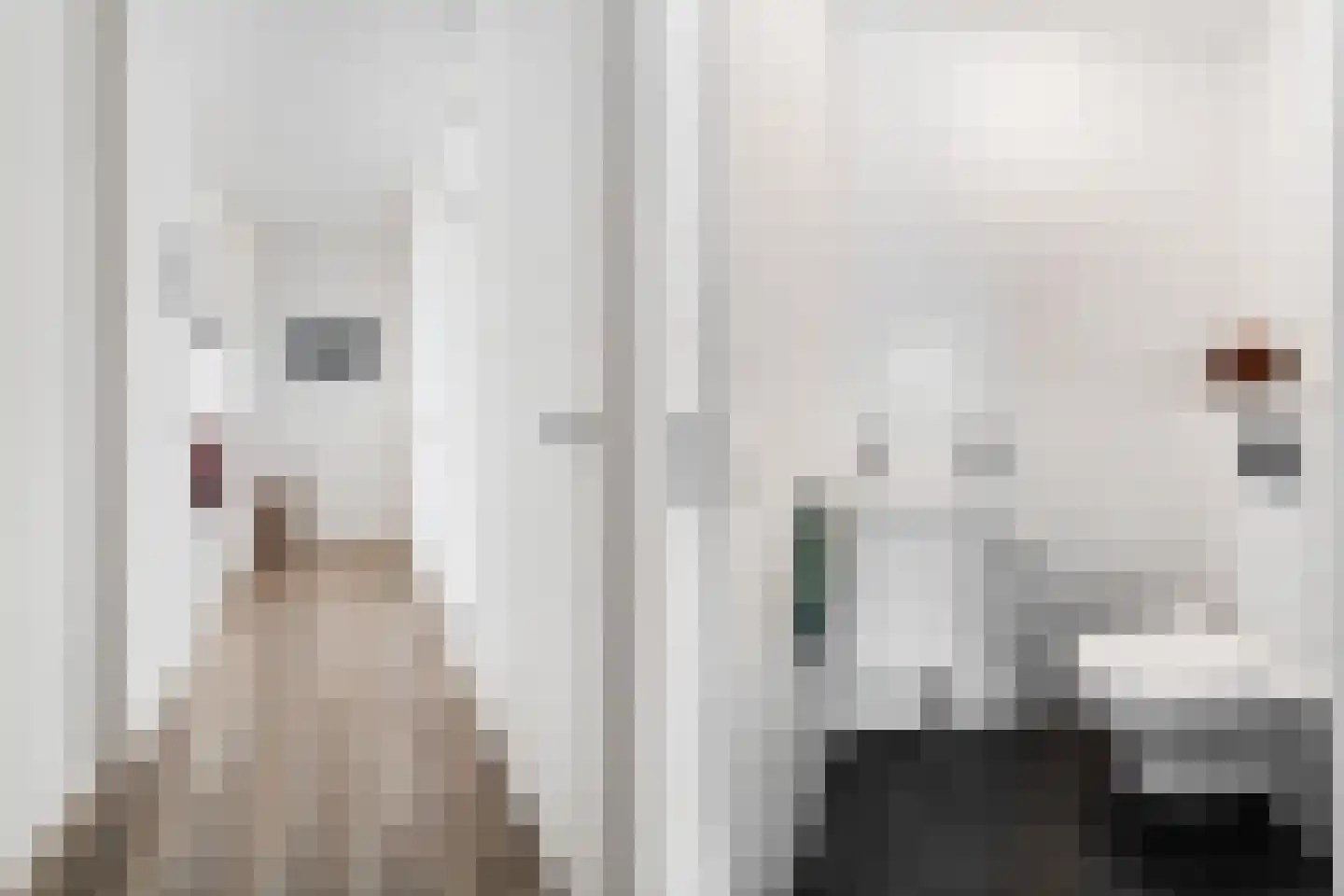 Gedempte Zalmhaven 394 Rotterdam thumbnail 35