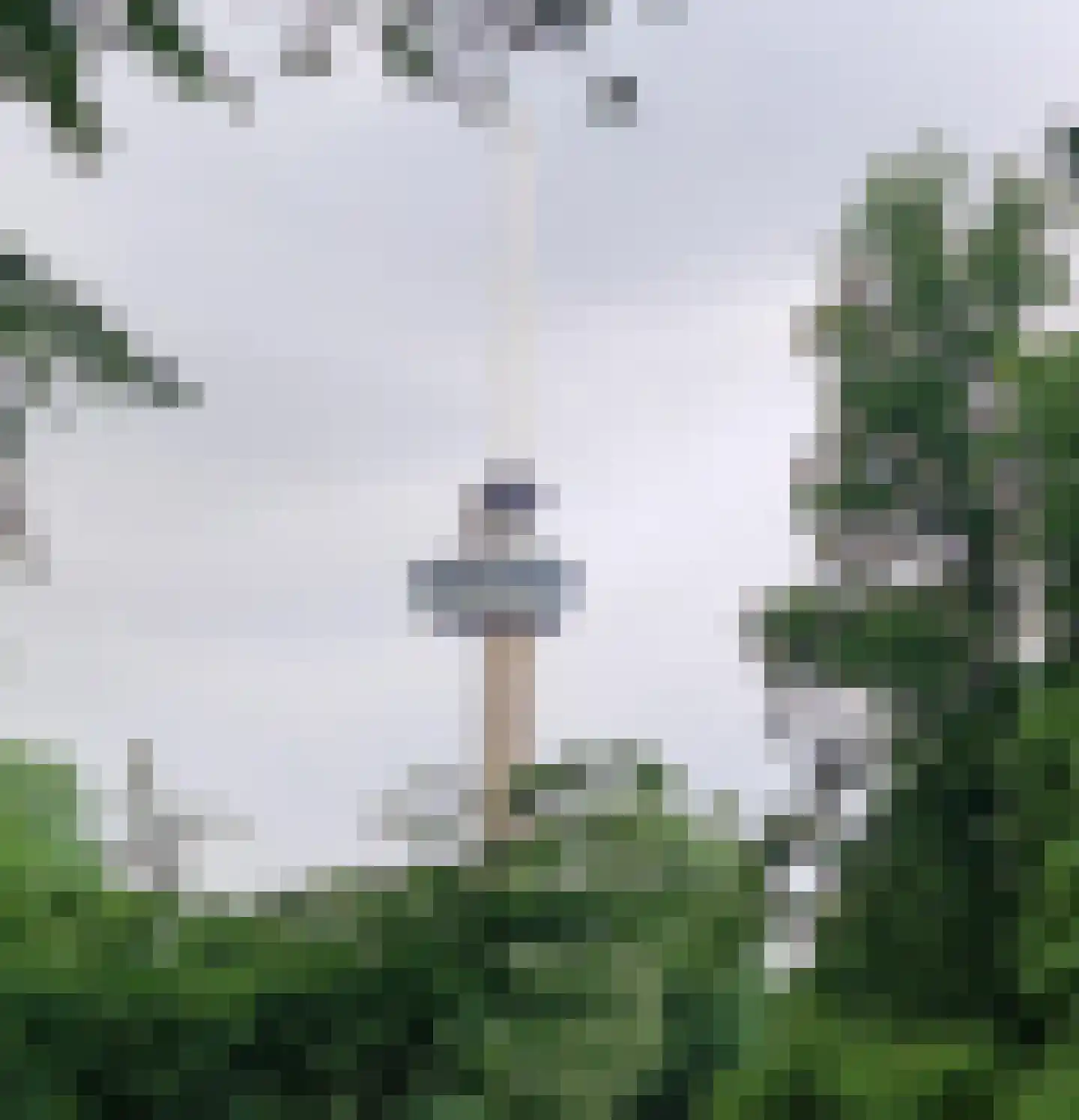 Gedempte Zalmhaven 394 Rotterdam thumbnail 42