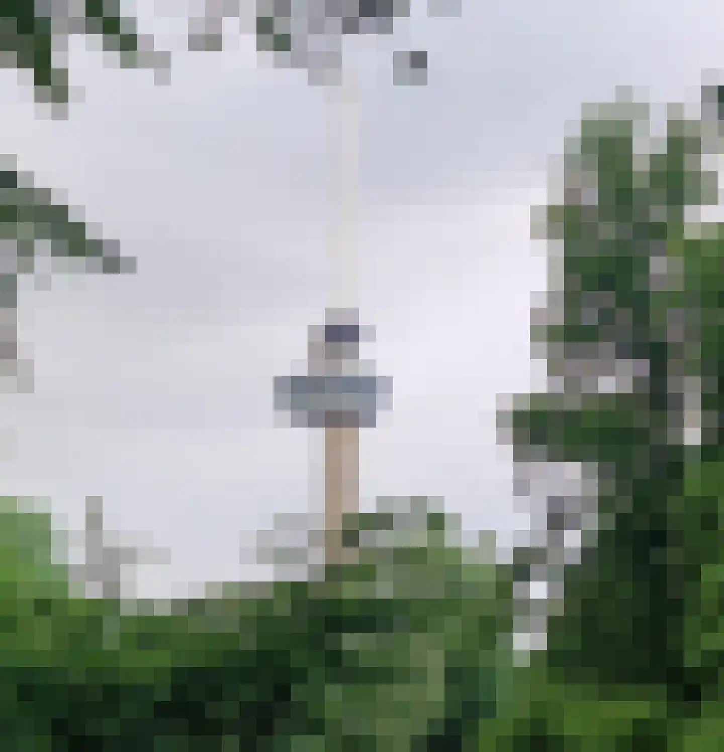 Gedempte Zalmhaven 394 Rotterdam thumbnail 42