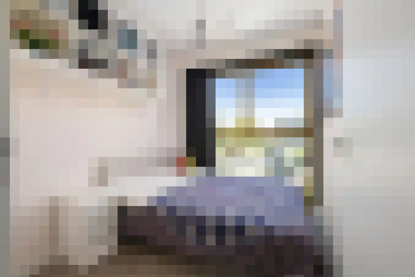 Gedempte Zalmhaven 478 Rotterdam thumbnail 27