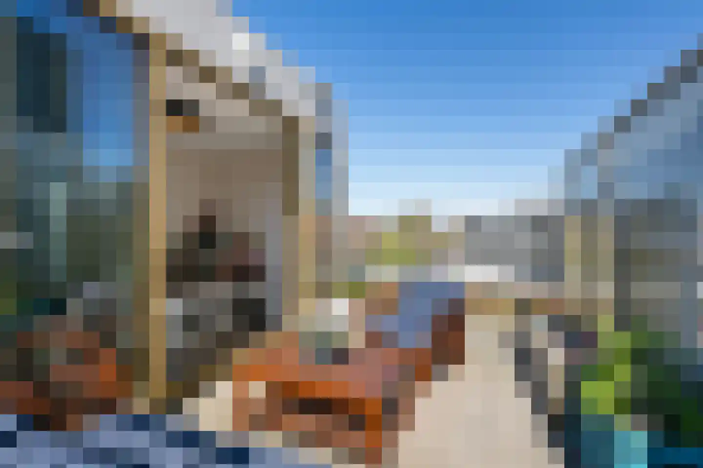 Gedempte Zalmhaven 478 Rotterdam thumbnail 33