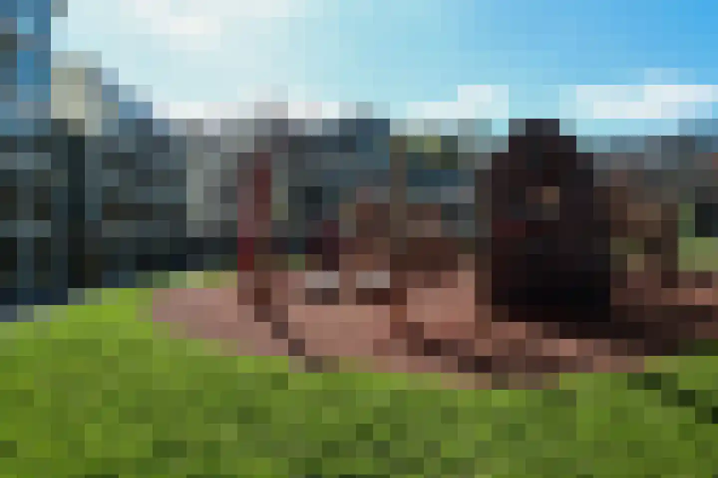 Gedempte Zalmhaven 478 Rotterdam thumbnail 40