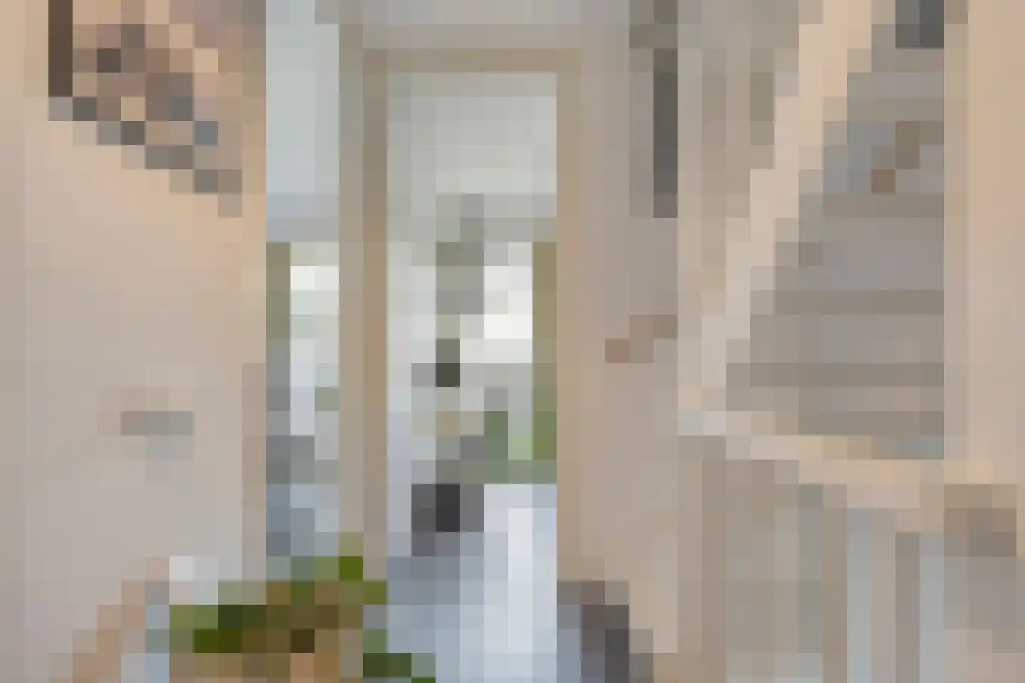 Gedempte Zalmhaven 480 Rotterdam thumbnail 9