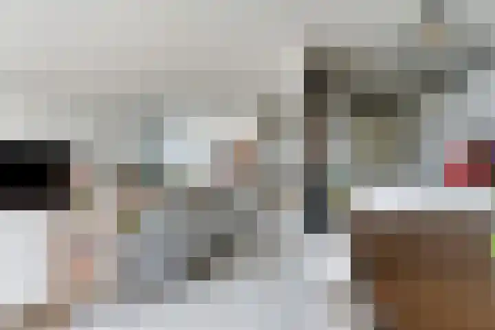 Gedempte Zalmhaven 485 Rotterdam thumbnail 22